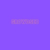 Growdseo Logo