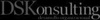 DSKonsulting Logo