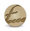Pinpoint Bookkeeping Logo
