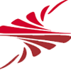 SAVVY Technology Solutions Logo