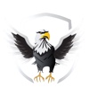 Digital Security Agency Logo