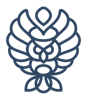 Niteowl Creative Logo