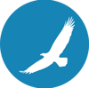iiTranslation Logo