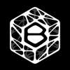 Branch Technology Logo