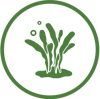 Reeflane Co., Ltd Logo