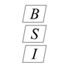 Brunswick Surveying, Inc. Logo