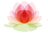 Lily Pad PR Logo