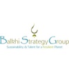 BSG Leadership Logo