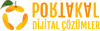Portakal Dijital Çözümler Logo