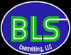 BLS Consulting, LLC Logo