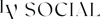 LV Social Logo