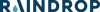 Raindrop Logo