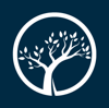Digital Forest Inc. Logo