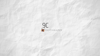 9cphotography.com Logo