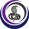 Vihat Technologies Logo