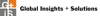 GLOBAL INSIGHTS SOLUTIONS LLC Logo