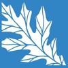 Connecticut Trial Firm, LLC Logo