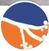 The Cassina Group Logo