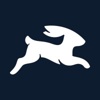 Directus Logo