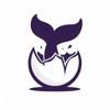 N12M Logo