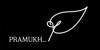 Pramukh Consulting Logo