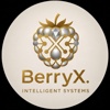 BerryX Systems Logo