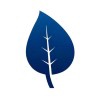 ElevateSP Logo