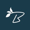 Bold Branch Collective Logo