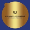 COLLABIZZ CONSULTING LLP Logo