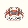 Big Crab Studio Logo