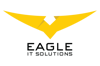 Eagle IT Solutions Logo