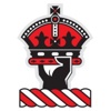 ROBERTSON PLASTICS Logo