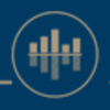 Business Value Consulting, LLC Logo