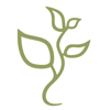 Professional Accounting & Financial Services Logo