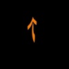 Evolution Sport Management Logo