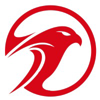 Falcons.AI Logo