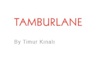 Tamburlance Logo