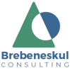 Brebeneskul Consulting Logo