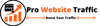 Pro Website Traffic Logo