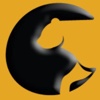 POUNCE Solutions Logo