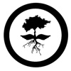Roots & Wings Logo