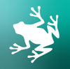 Razorfrog Web Design Logo