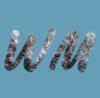 Wild Marketing Logo