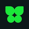 Kocho Logo