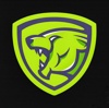 Invincible Lion Logo