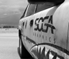South Georgia Graphics Logo