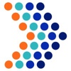 Paradox Consulting Partners Logo
