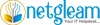 Netgleam Consulting Pvt. LTD Logo