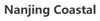 Nanjing Yan'an Technology Co., Ltd. Logo