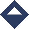 Reize LLC Logo